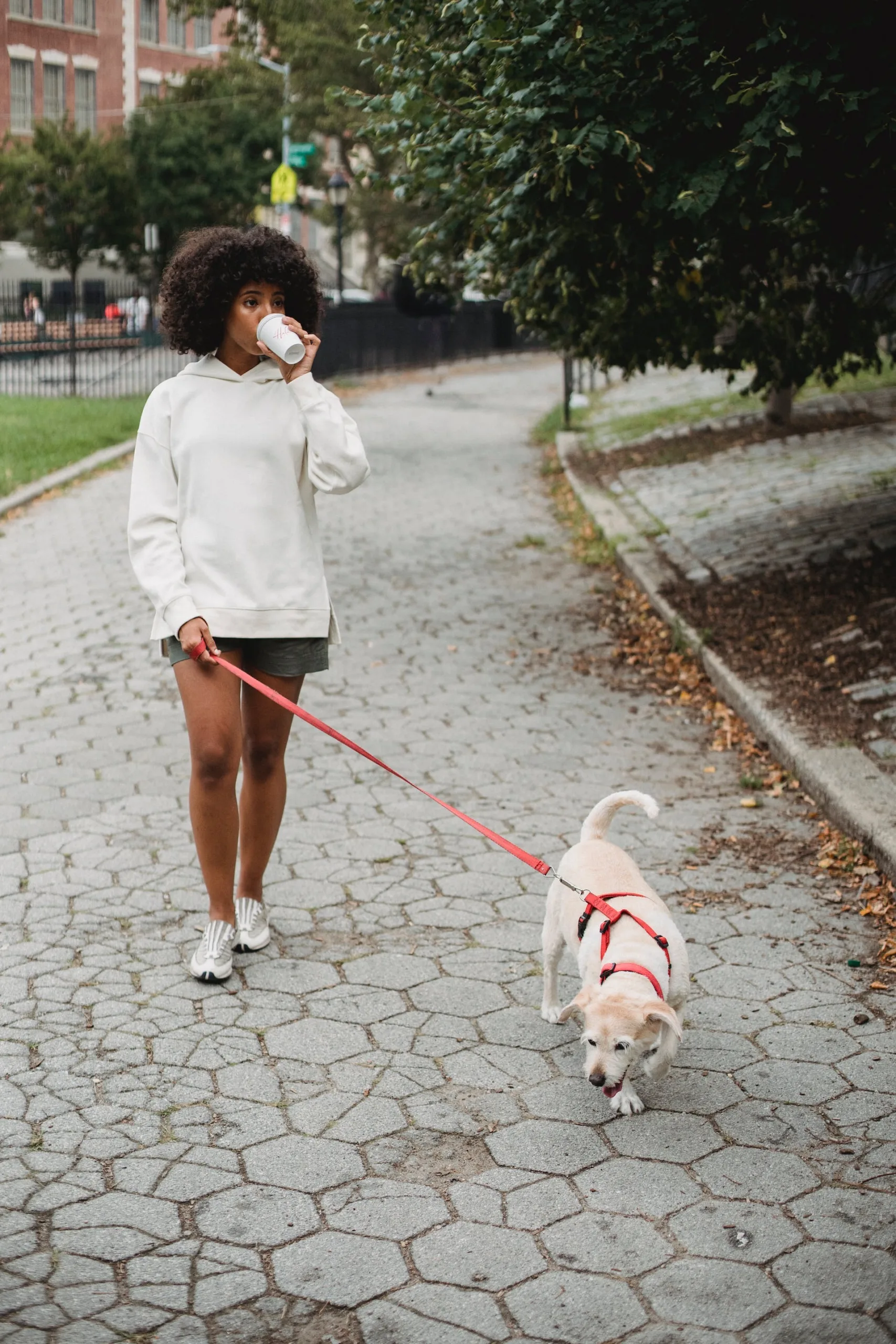 Woman walking dog and drinking coffee