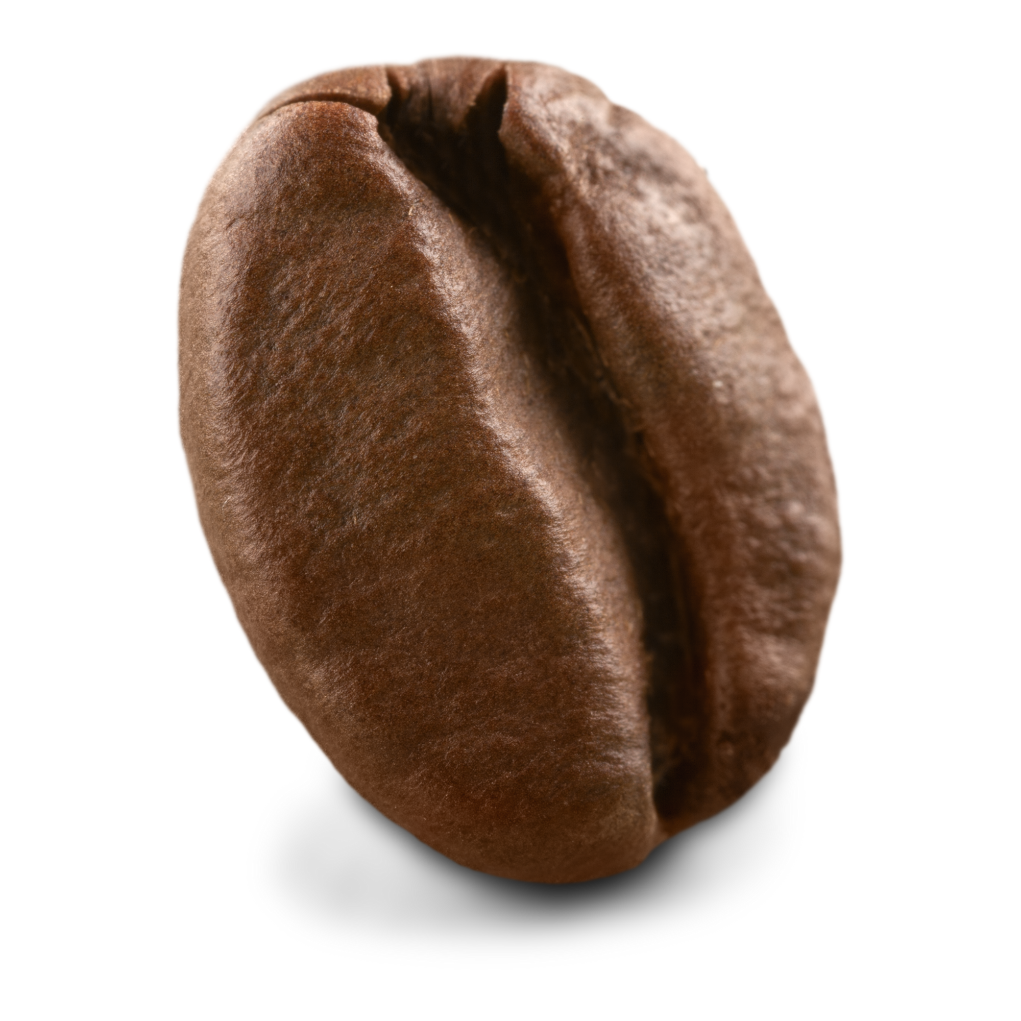 Ultra close up image of a single medium roast coffee bean