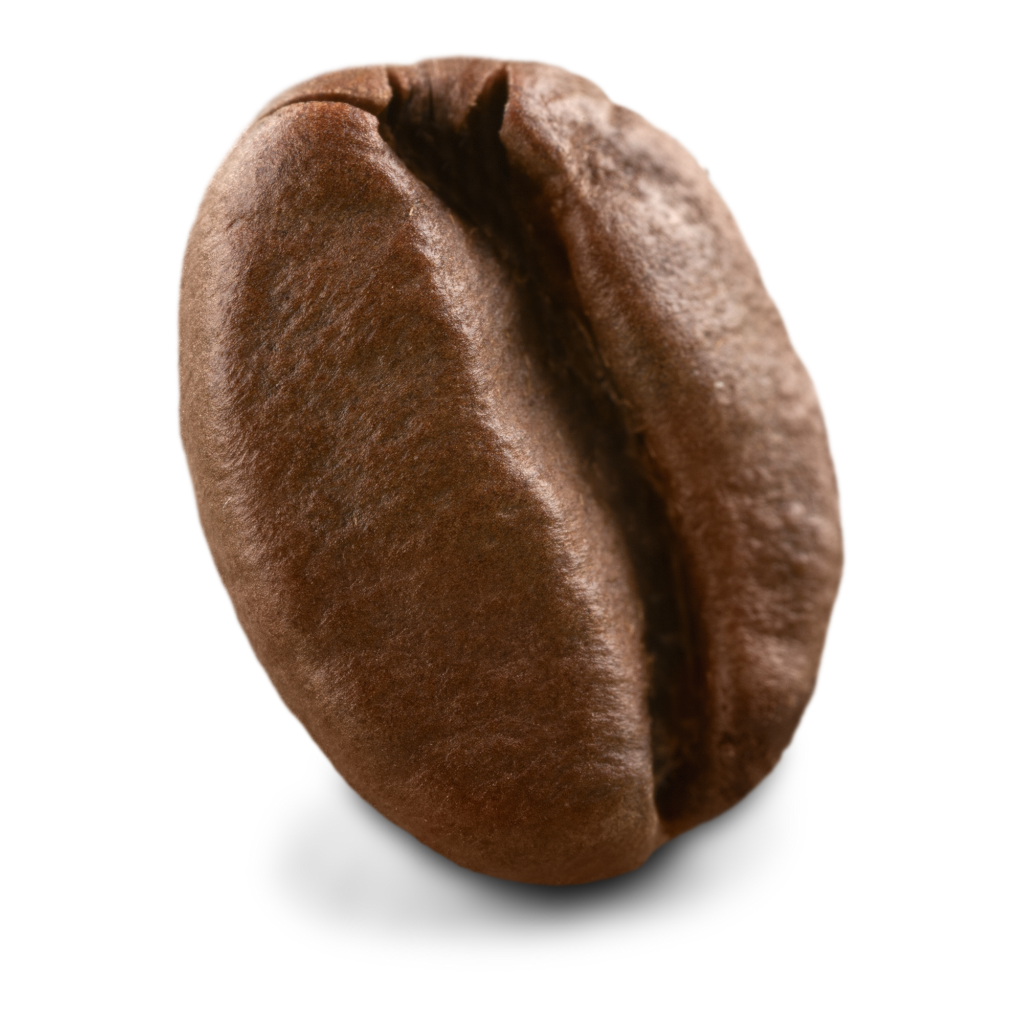 Ultra close up image of a single medium roast coffee bean